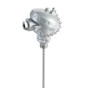 Temperature Switches